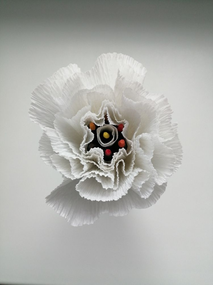 Фотография автора Кузьмичева Екатерина Васильевна