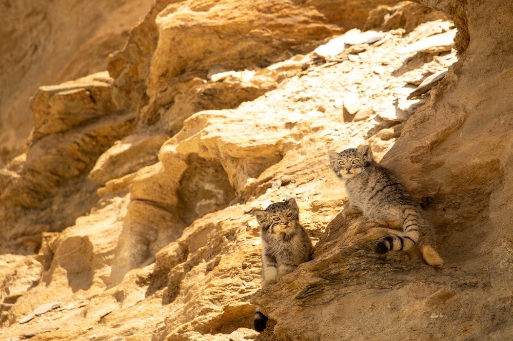 Photograph by Pradeep K C