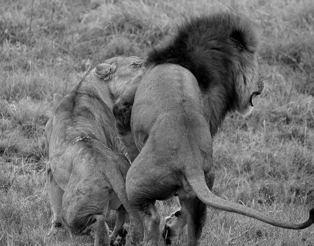 Photograph by Erasti Shish