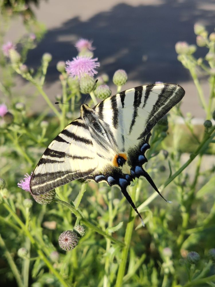 Photograph by Елена Иванкина