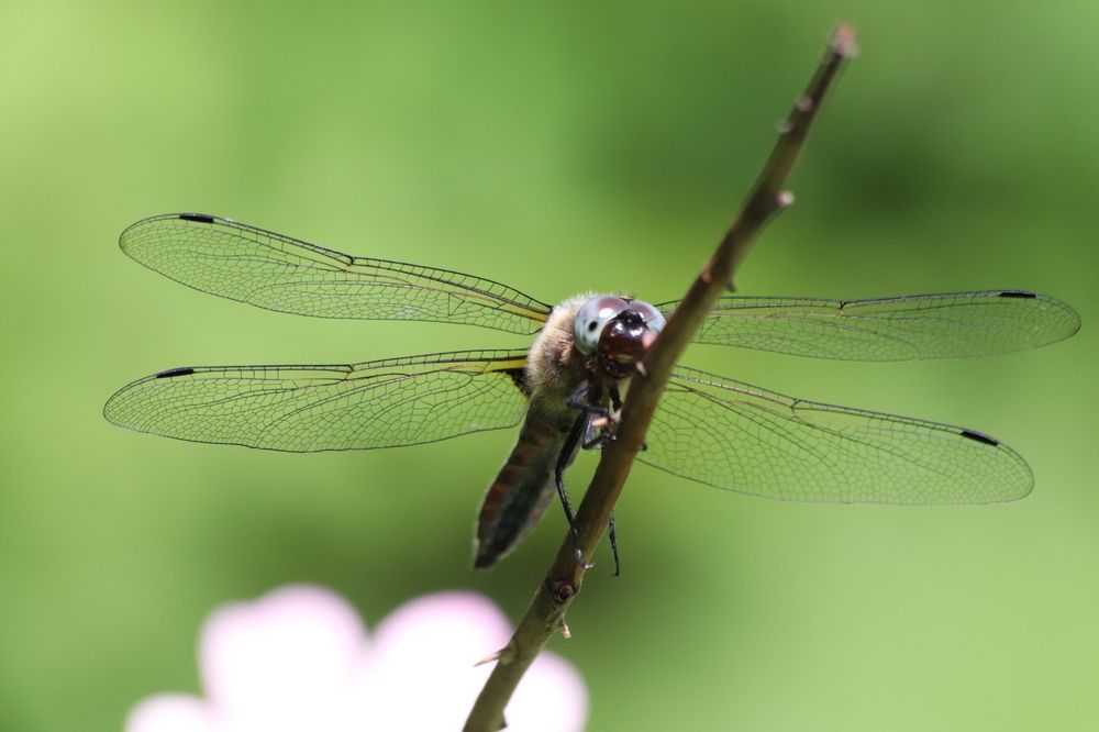 Photograph by Елена Иванкина