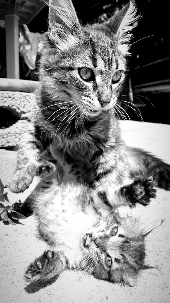 Photograph by Ирина Сидоренко