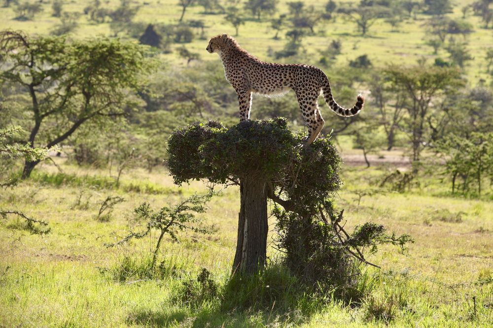 Photograph by Sanjay Risbood