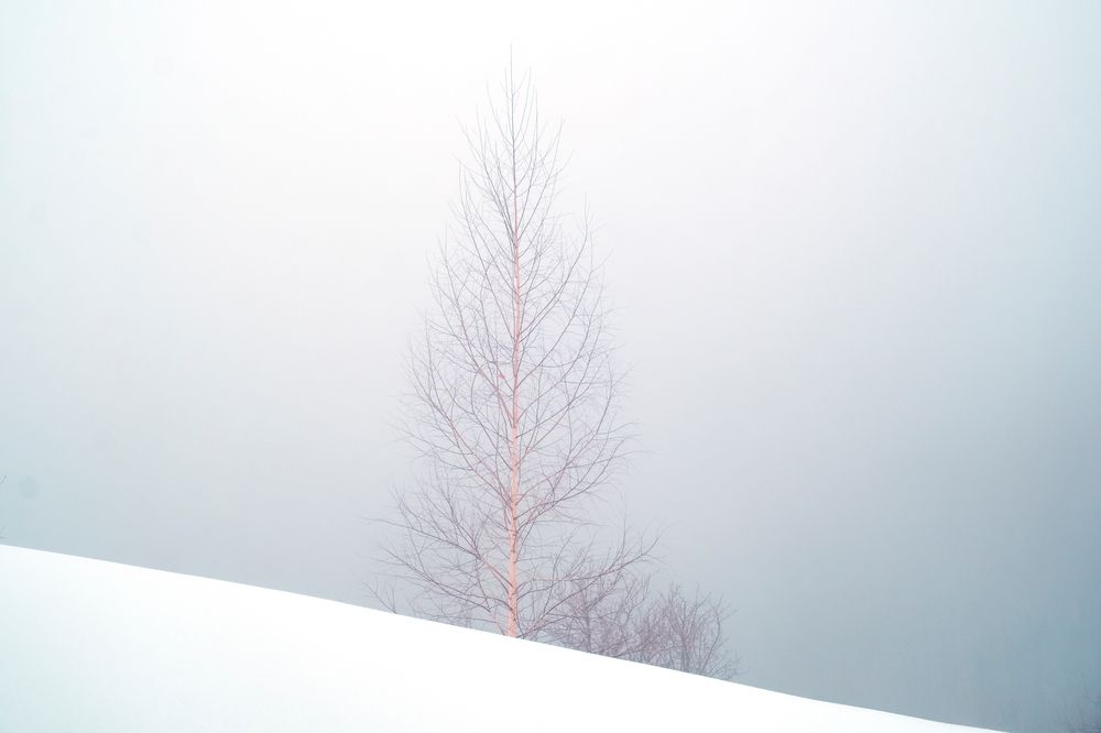 Photograph by Светлана Краюшкина