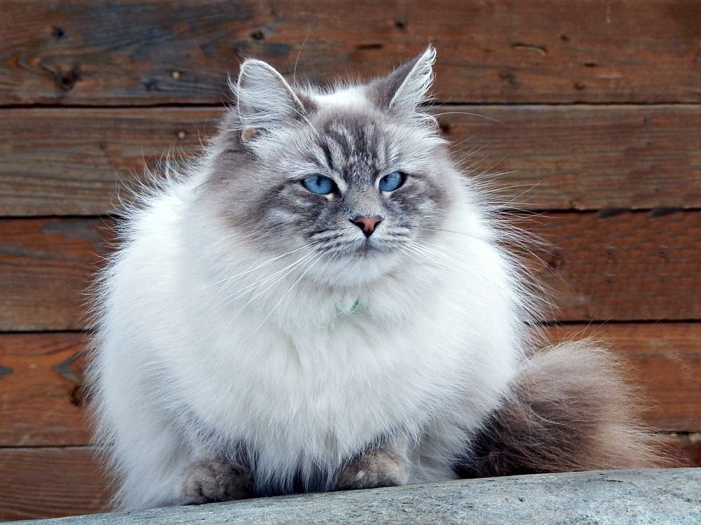 Photograph by Юрий Пучков