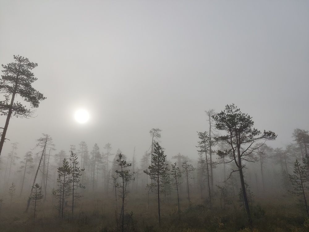 Photograph by Serhio