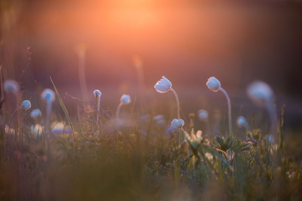 Photograph by Алексей Юденков