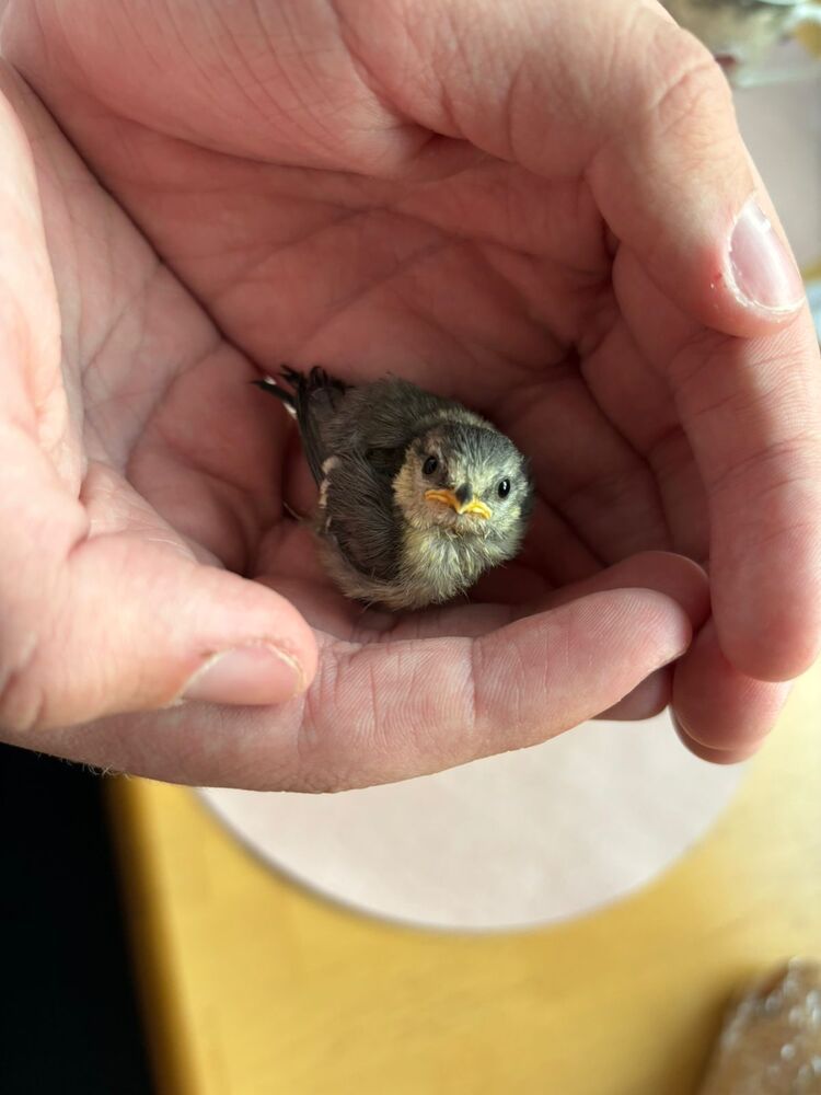 Photograph by Юлия