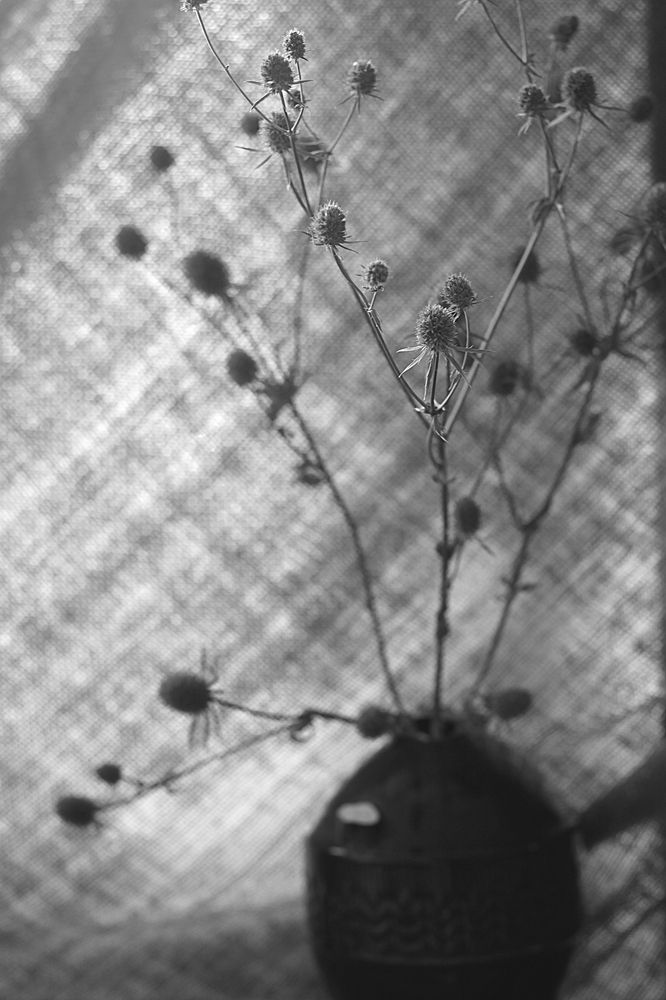 Photograph by Лада Кляузина