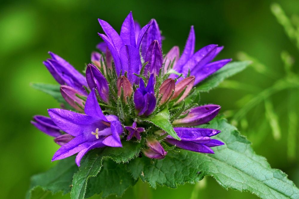 Photograph by Наталья Лобанова