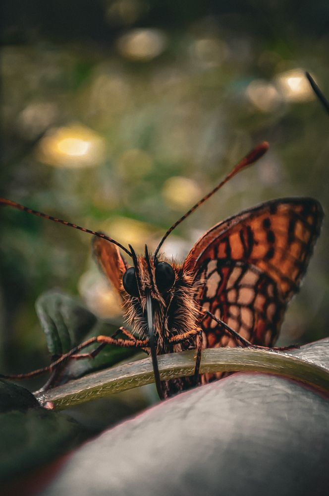 Photograph by Екатерина Никитина