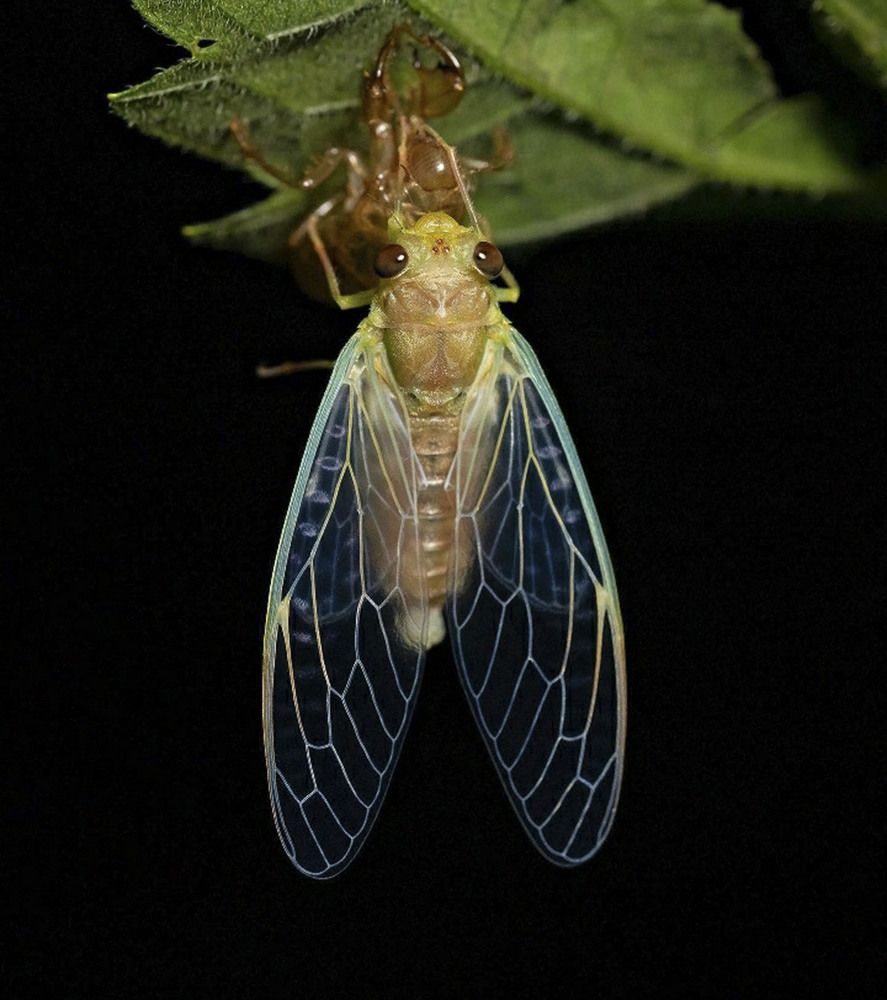 Photograph by Yogarajah Jathumilan