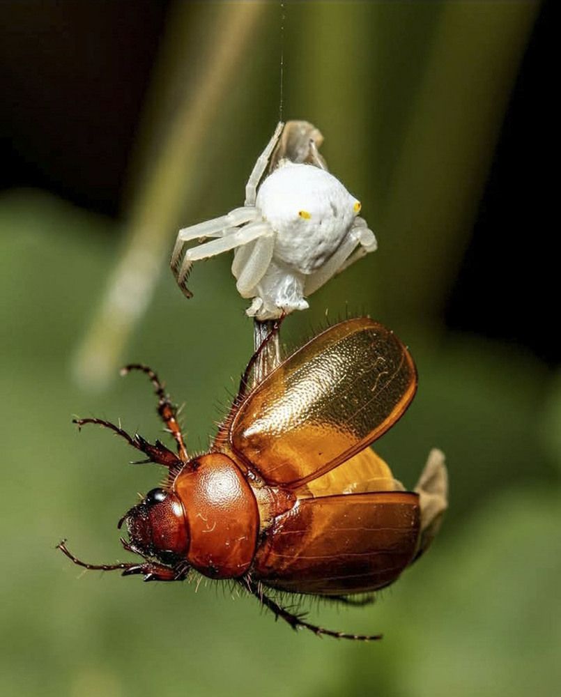 Photograph by Yogarajah Jathumilan