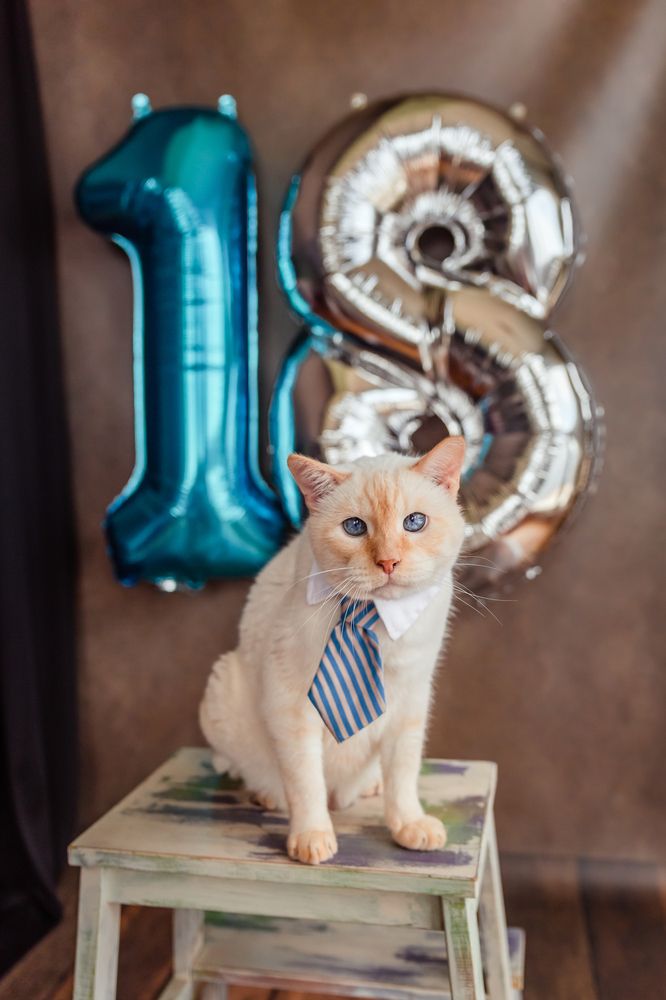 Photograph by Ирина Эрон