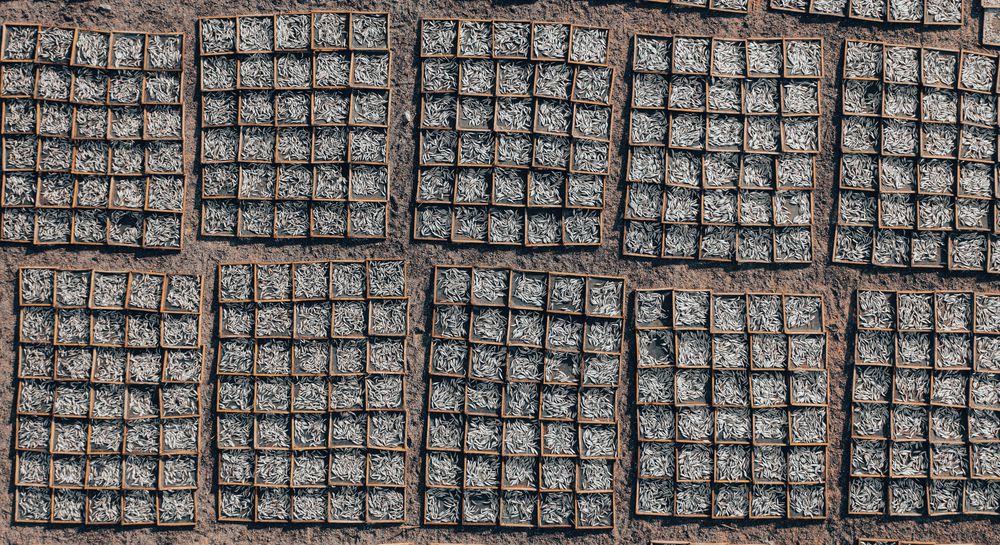 Photograph by nguyen truonghai