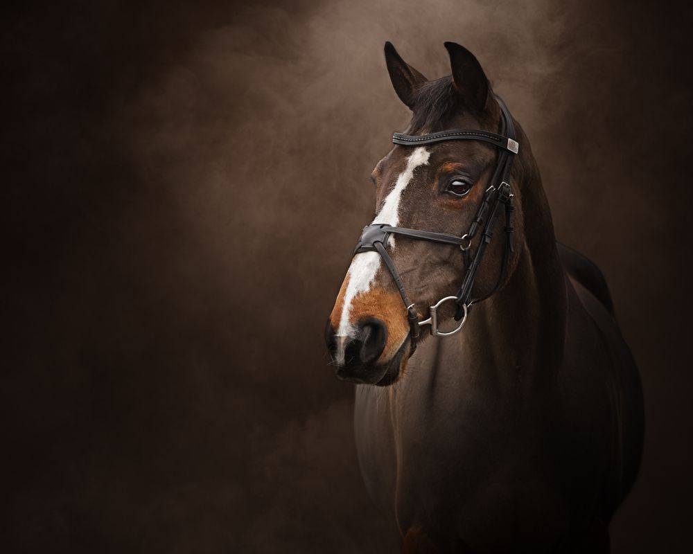 Photograph by Natalie Taylor