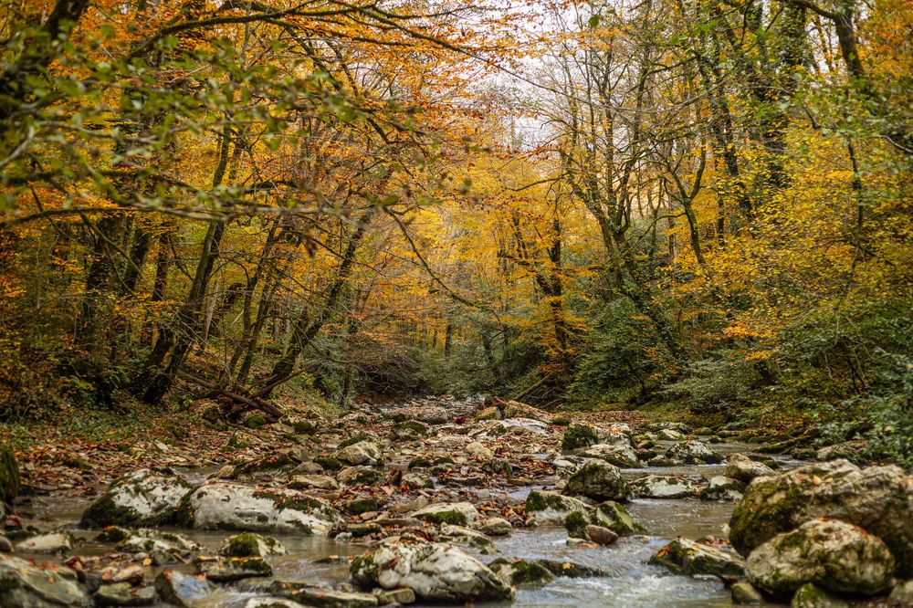 Photograph by Дмитрий Ефимов