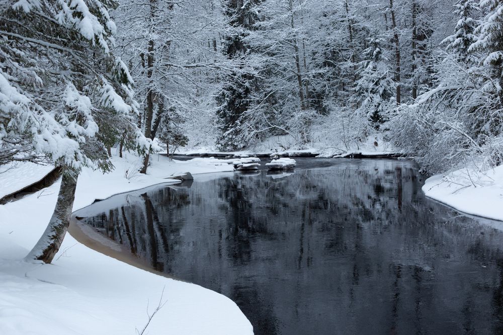 Photograph by Nadezhda Bakina