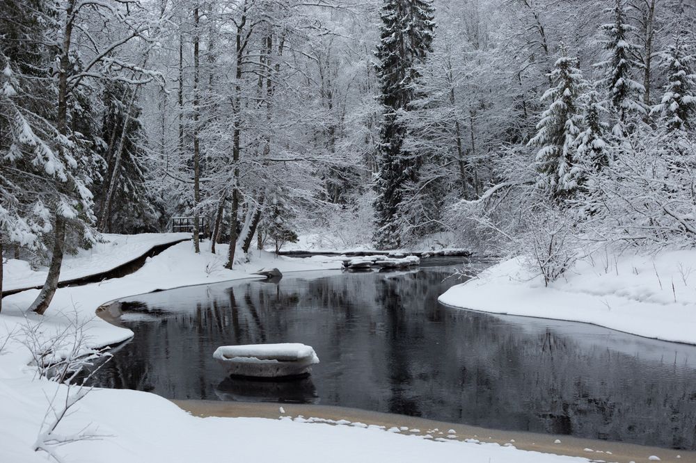 Photograph by Nadezhda Bakina