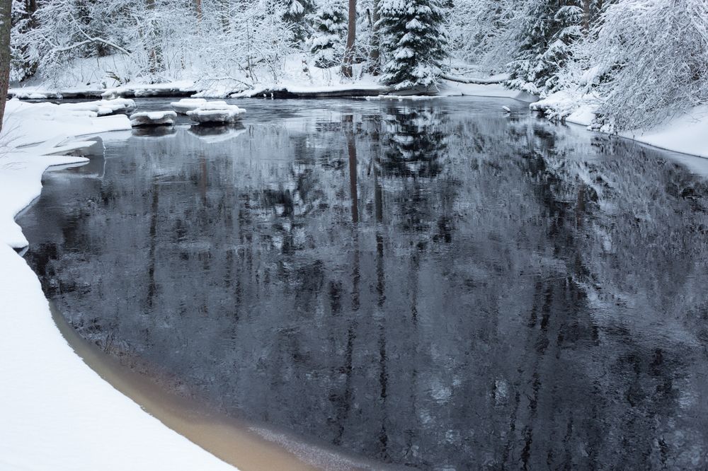 Зимняя Рощинка