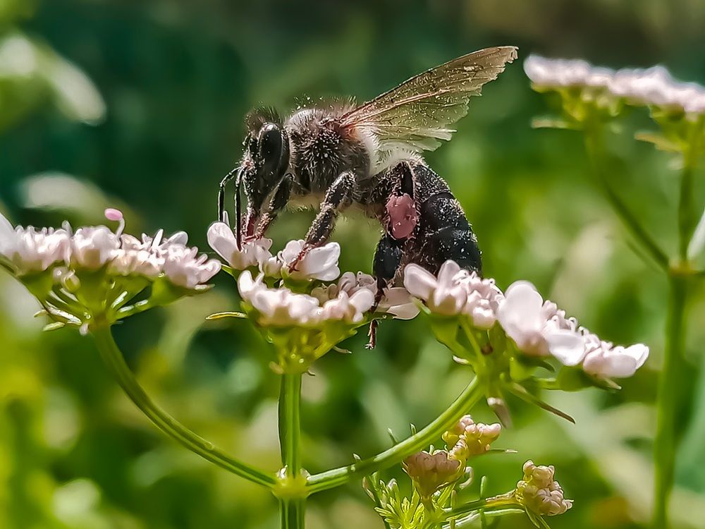 Photograph by Sara Bounab