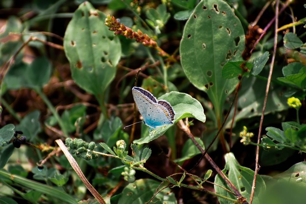 Фотография автора Алина Руденко