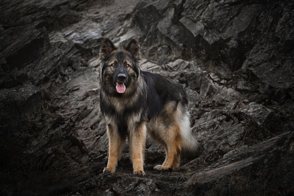 Photograph by Natalie Taylor