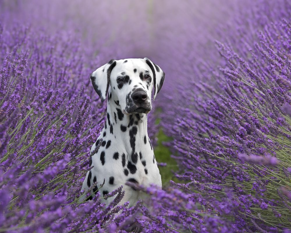 Photograph by Natalie Taylor