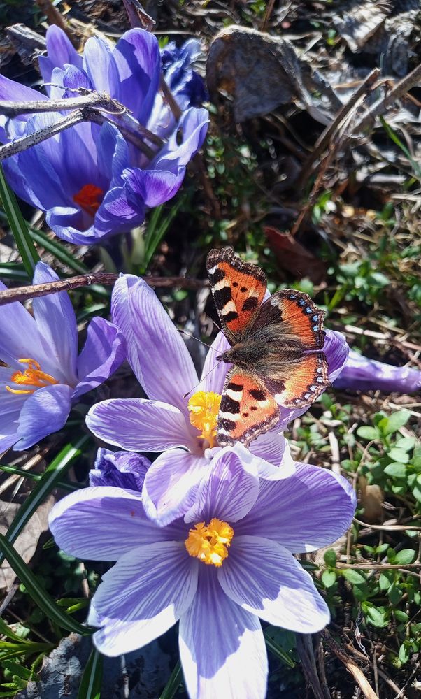 Photograph by Ксения Малютина