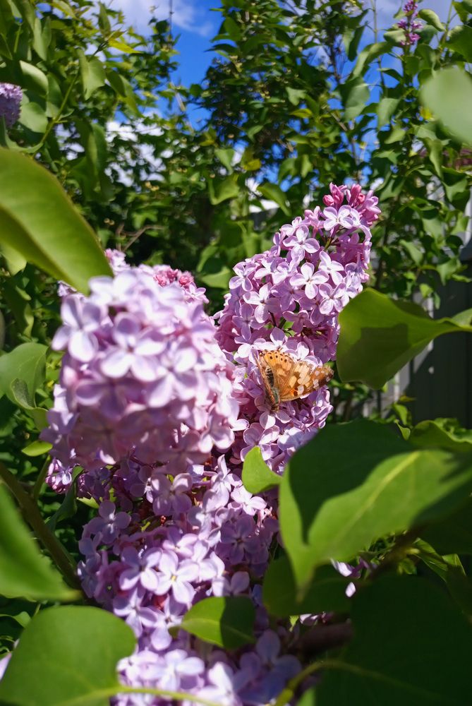 Photograph by Ксения Малютина