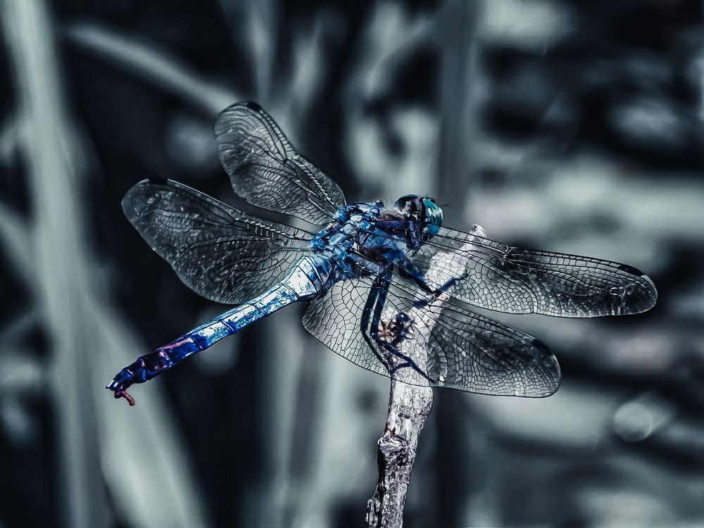 Photograph by Наталья Лищинская