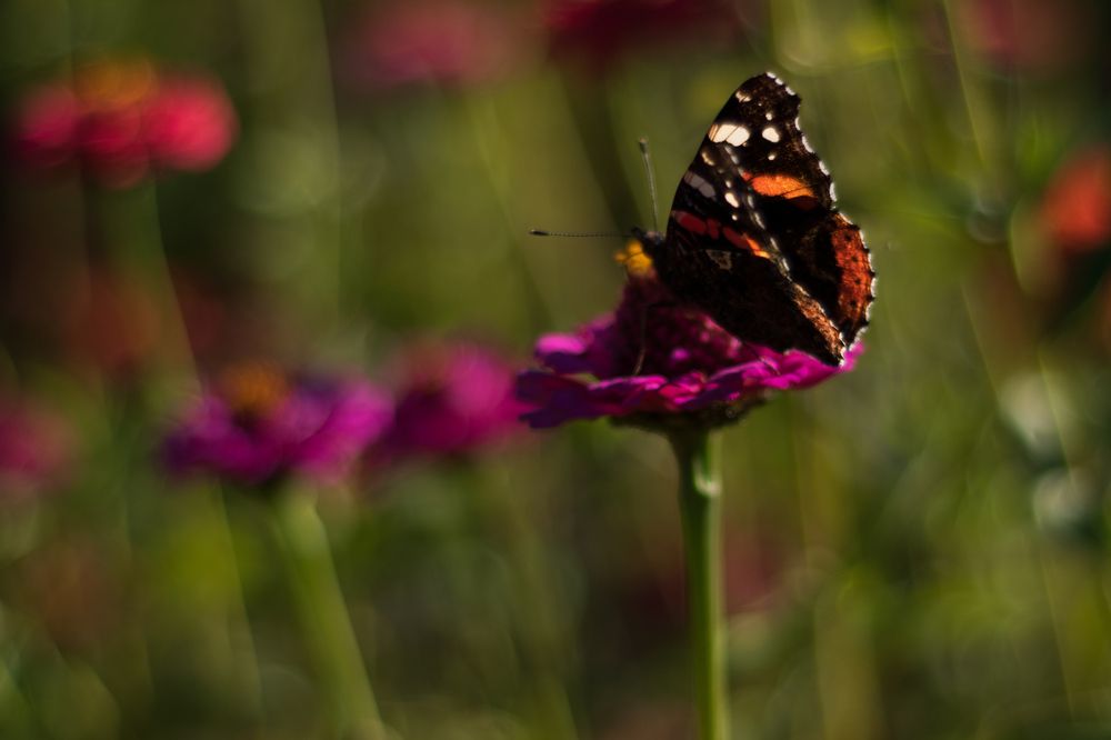 Photograph by Ксения Малютина