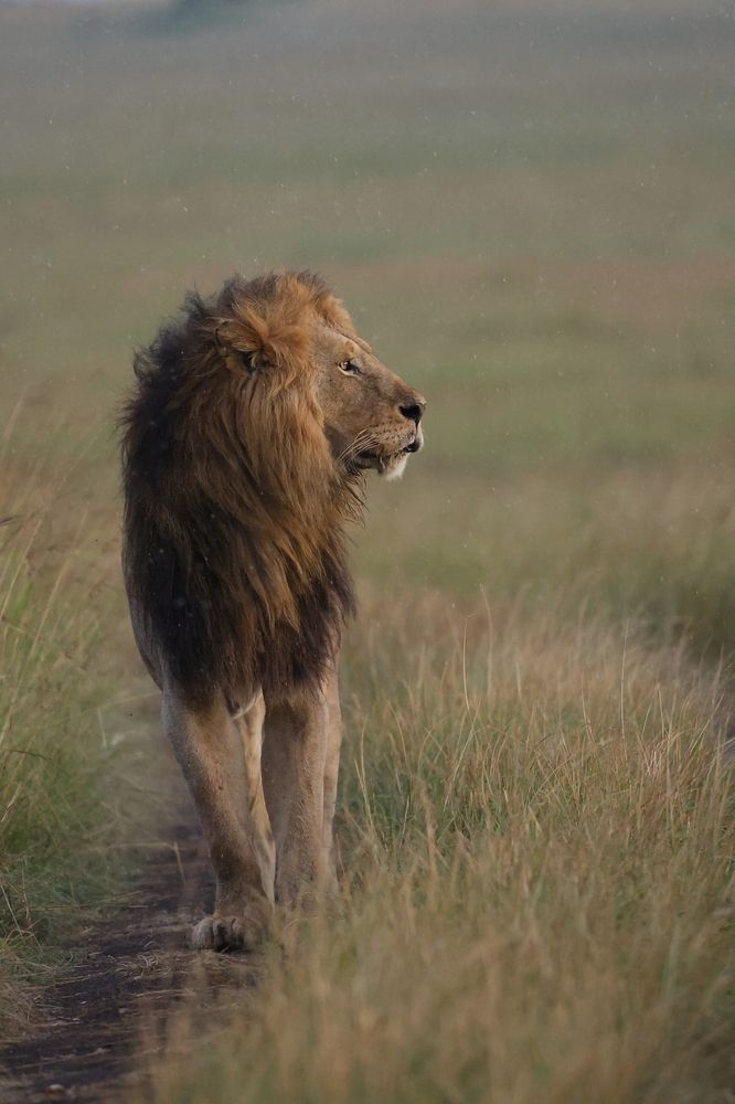 Photograph by Sanjay Risbood