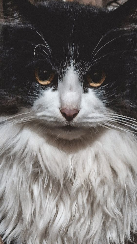 Photograph by Мария Таскаева
