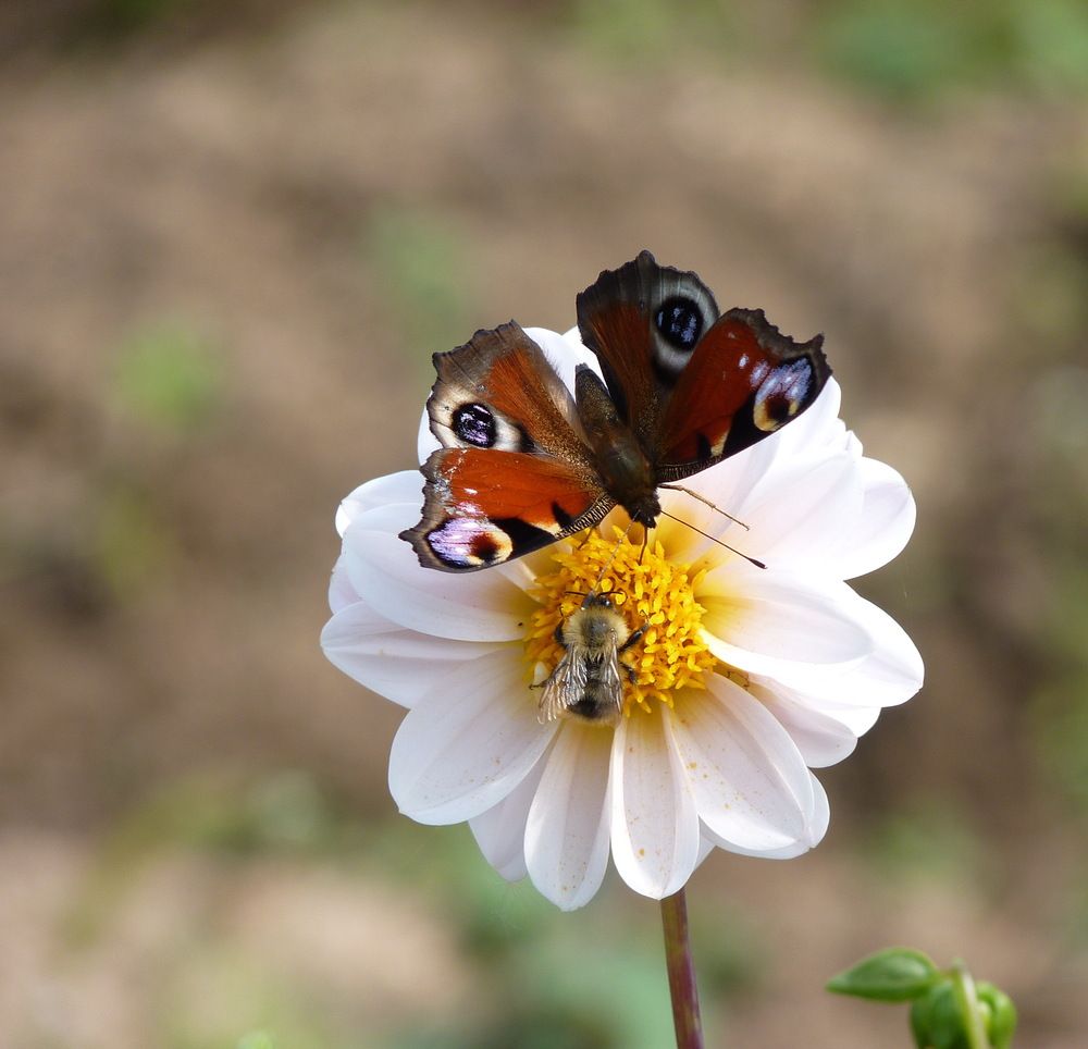 Photograph by Galina Leskova