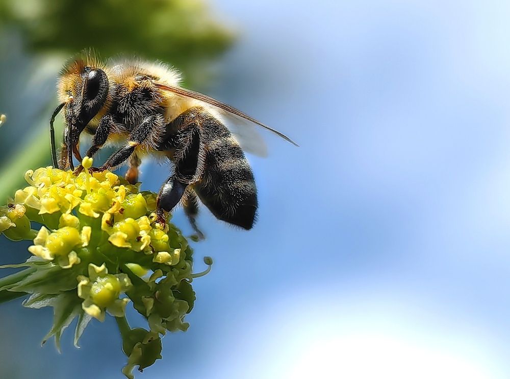 Photograph by Alen Brkić