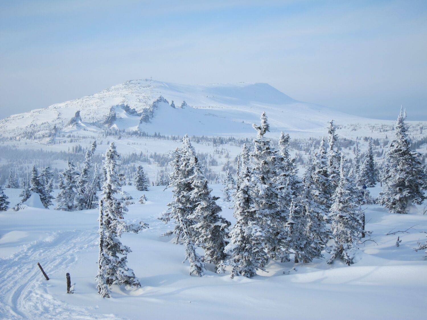 Photo #11879512