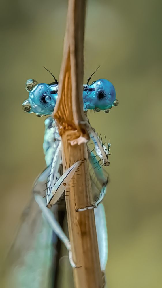 Photograph by Наталья Лищинская