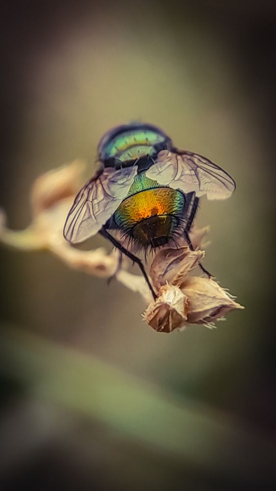 Photograph by Наталья Лищинская