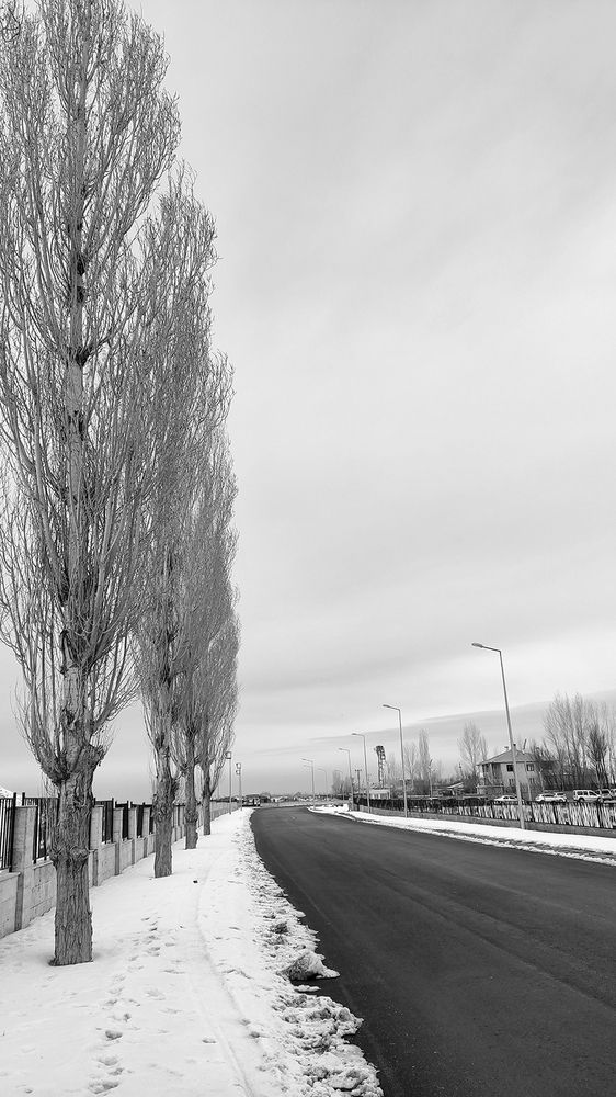 Photograph by Javad Tafti Farashah