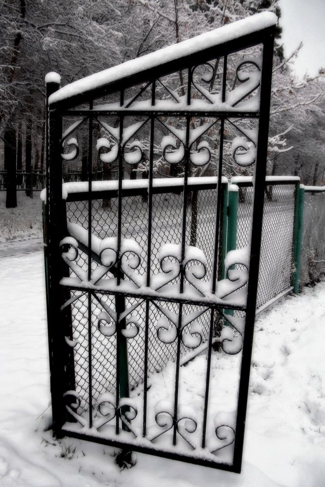 Photograph by Эдуард Петруша