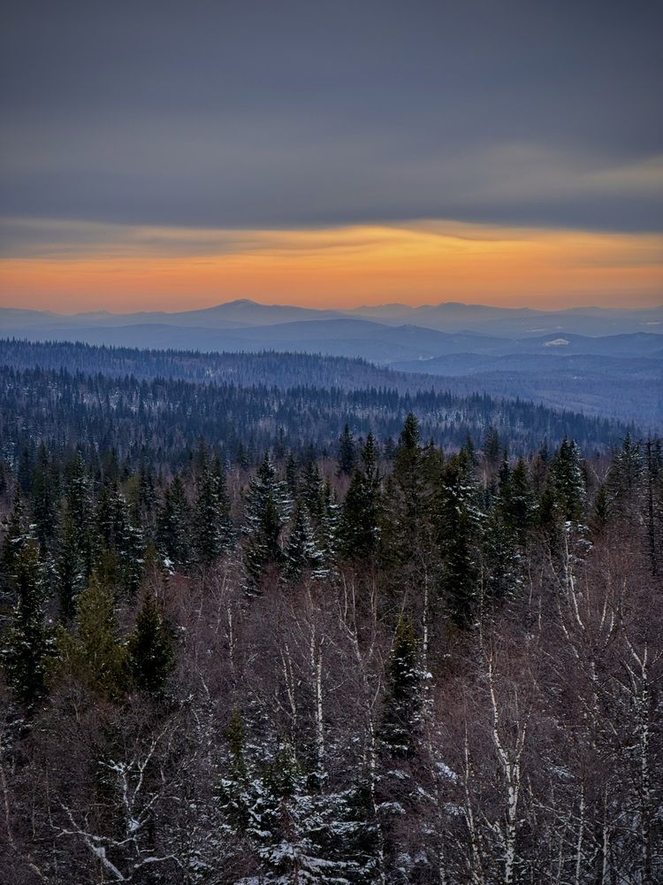 Фотография автора Евгения Елисеева