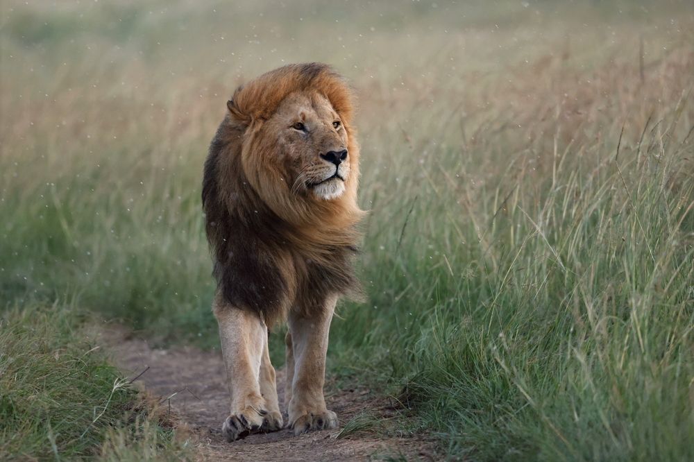 Photograph by Sanjay Risbood