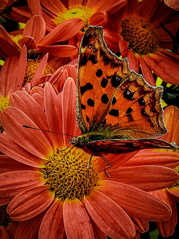 Photograph by WEONBAE PARK