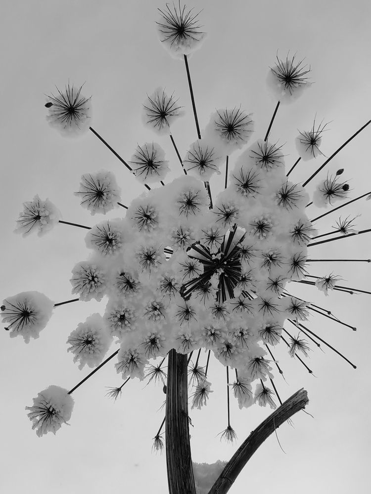 Photograph by Светлана Васильева