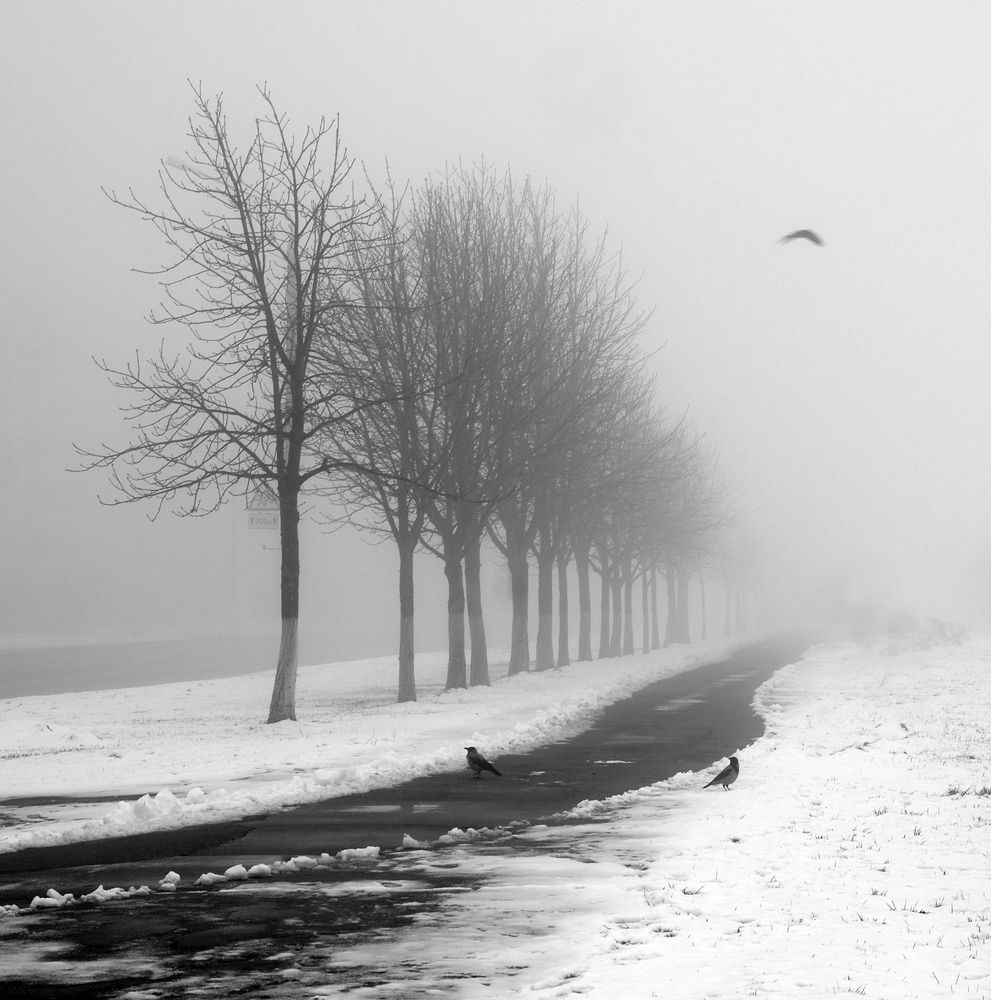 Photograph by Шляга Сергей