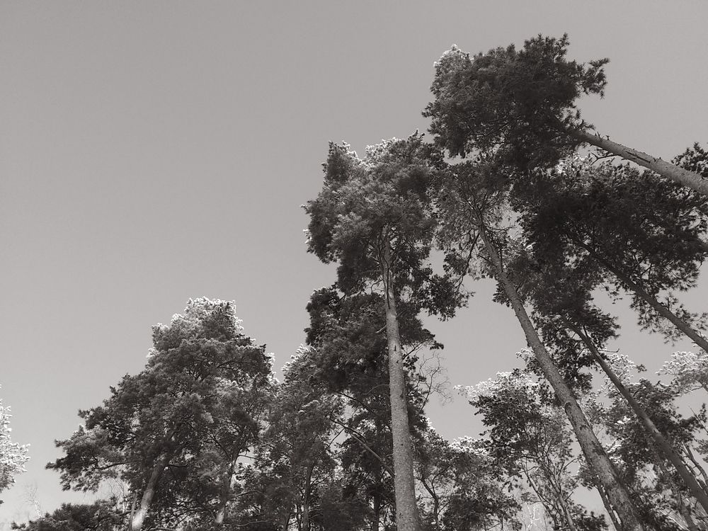 Photograph by Инна Голубева