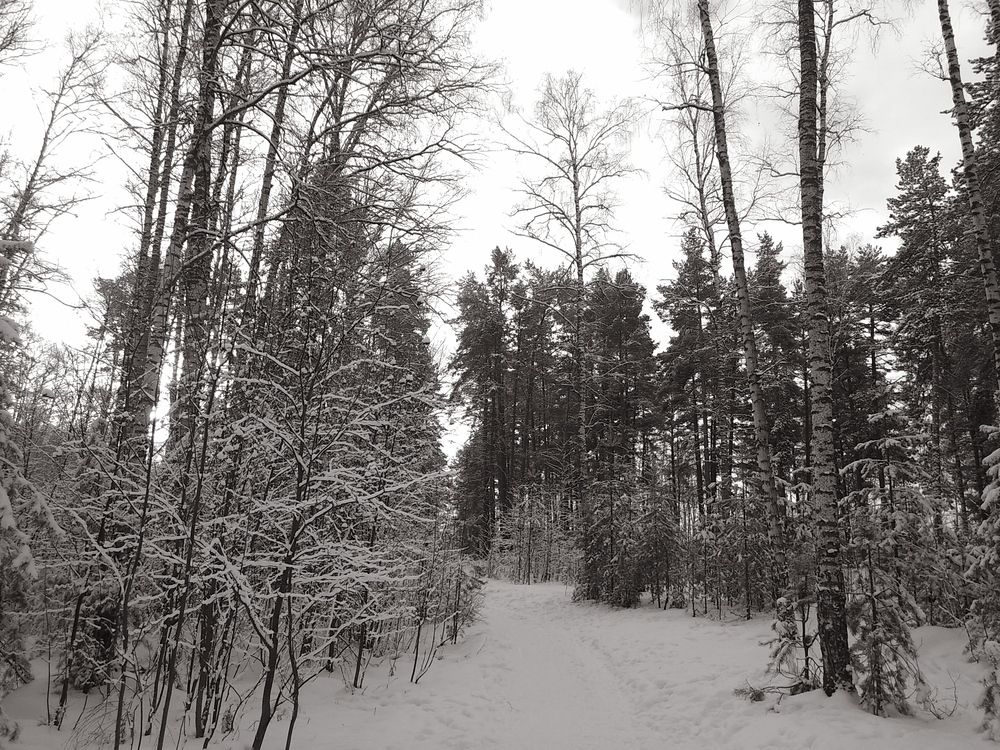 Photograph by Инна Голубева