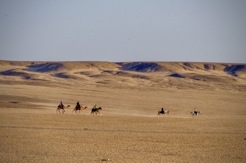 Photograph by Дулова Анастасия