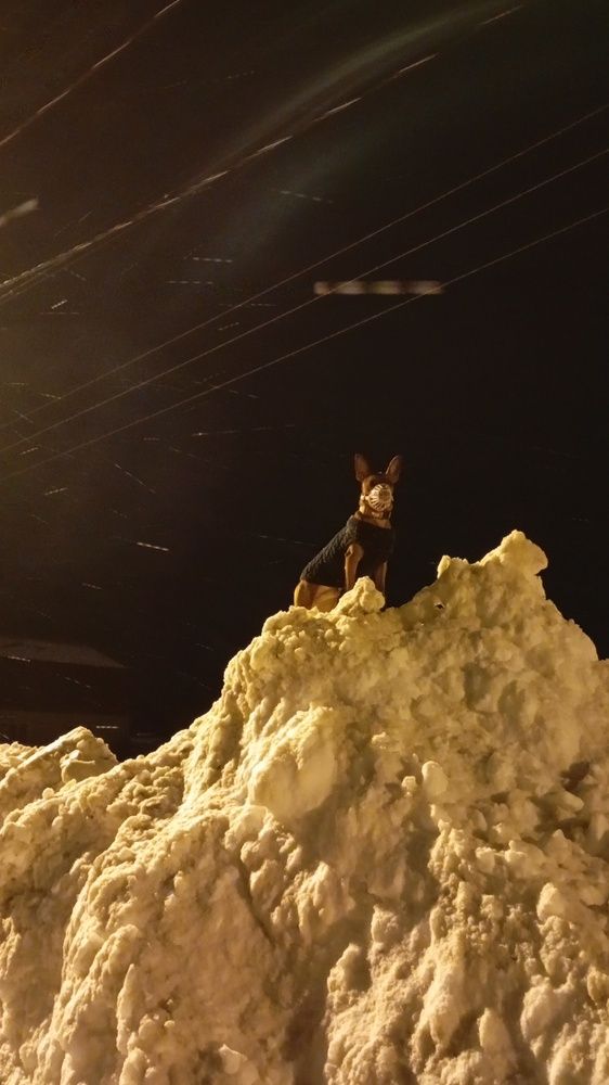 Photograph by Виктория